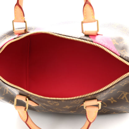 Louis Vuitton Monogram Speedy 30 V Grenade 5 of 10