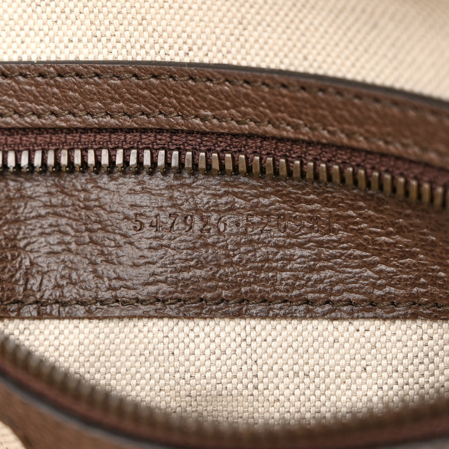 GG Supreme Monogram Web Small Ophidia Messenger Bag Brown