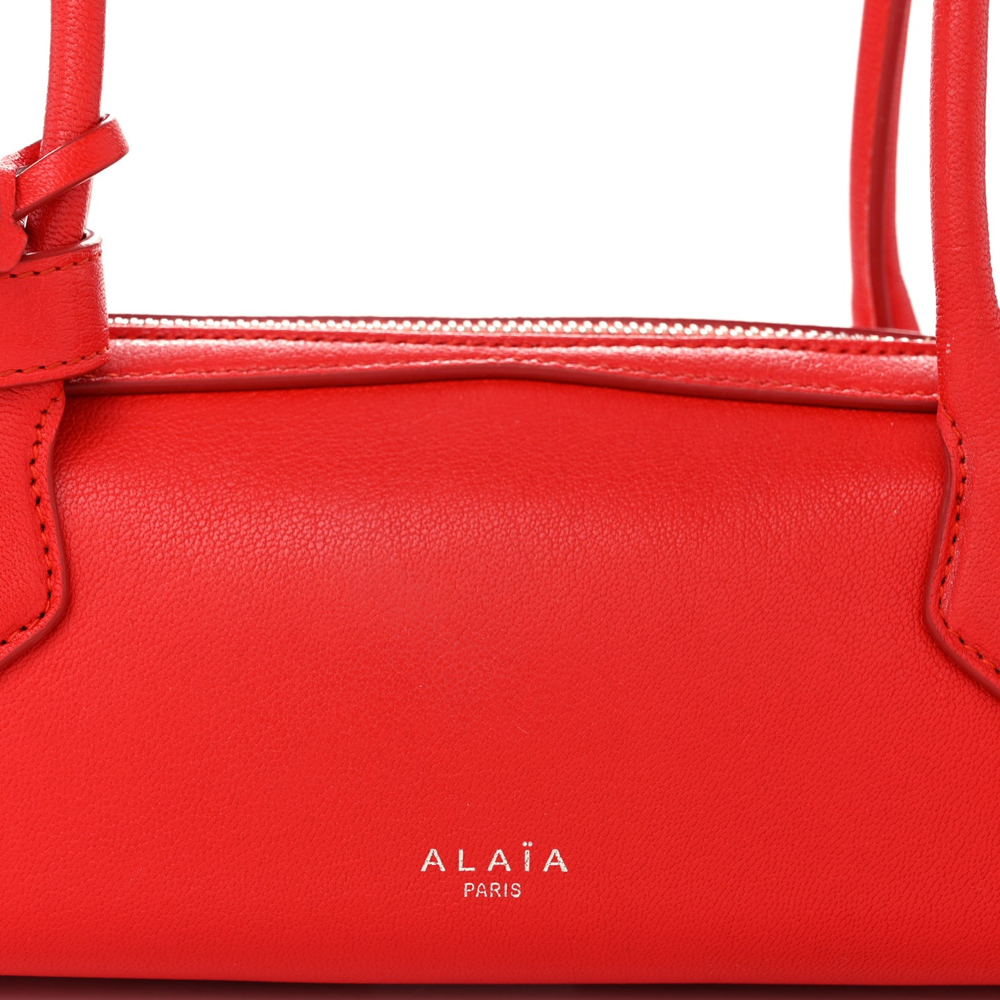 Goatskin Small Le Teckel Bag Rouge