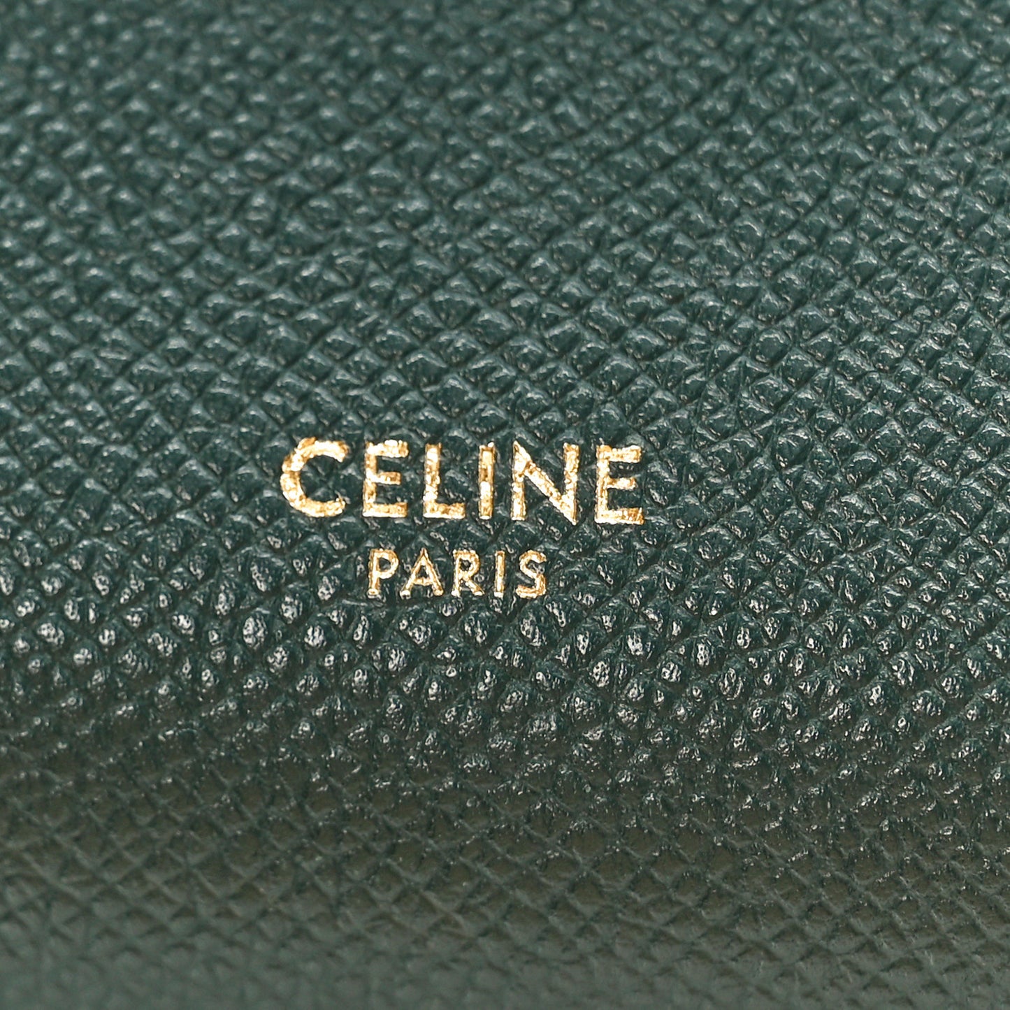 Grained Calfskin Nano Belt Bag Amazone