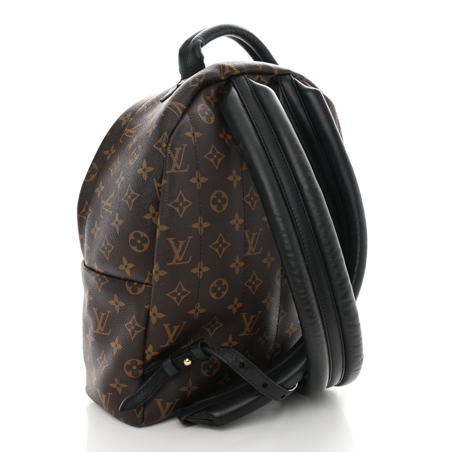 Monogram Palm Springs Backpack MM