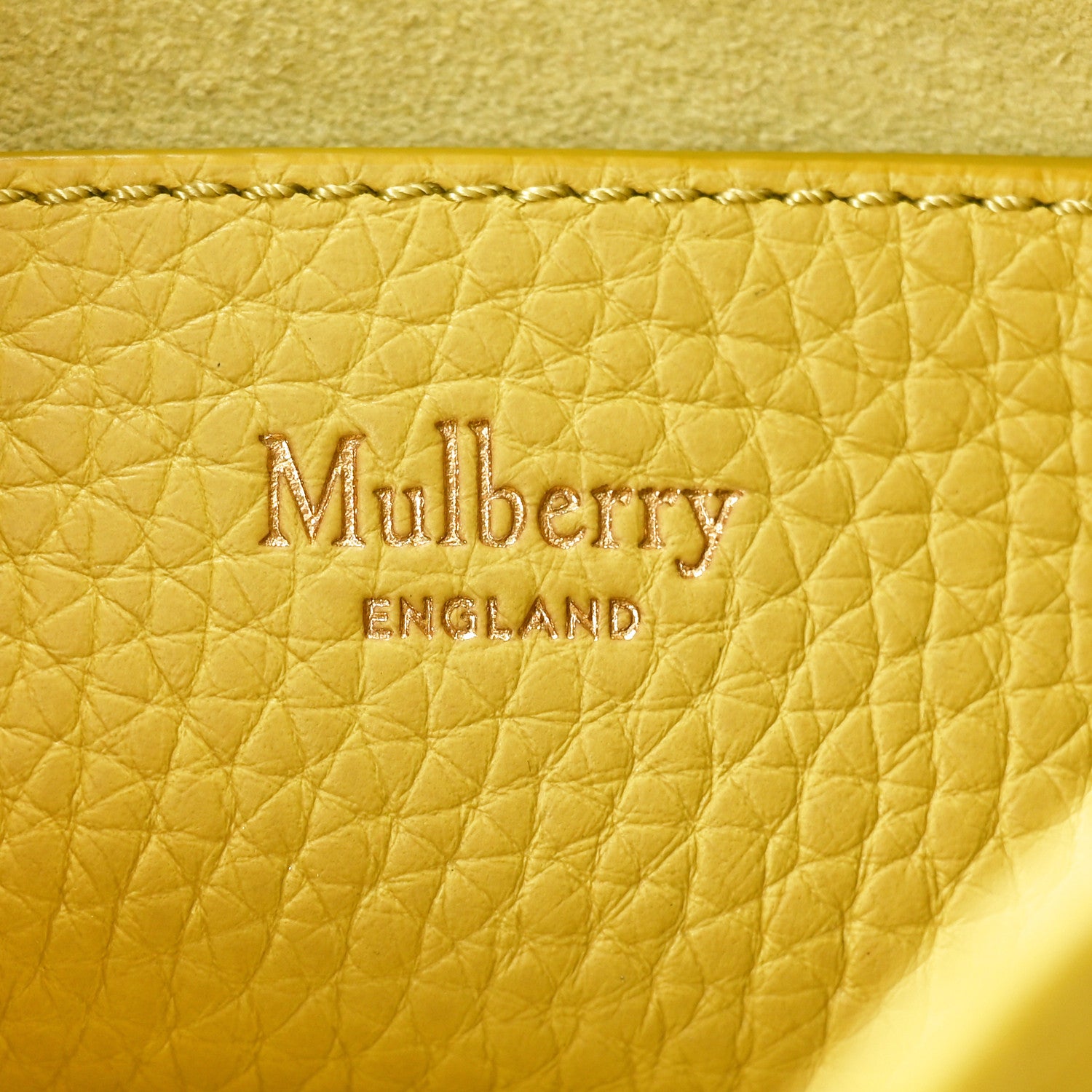 Mulberry Heavy Grain Mini Alexa Meadow Green 6 of 9