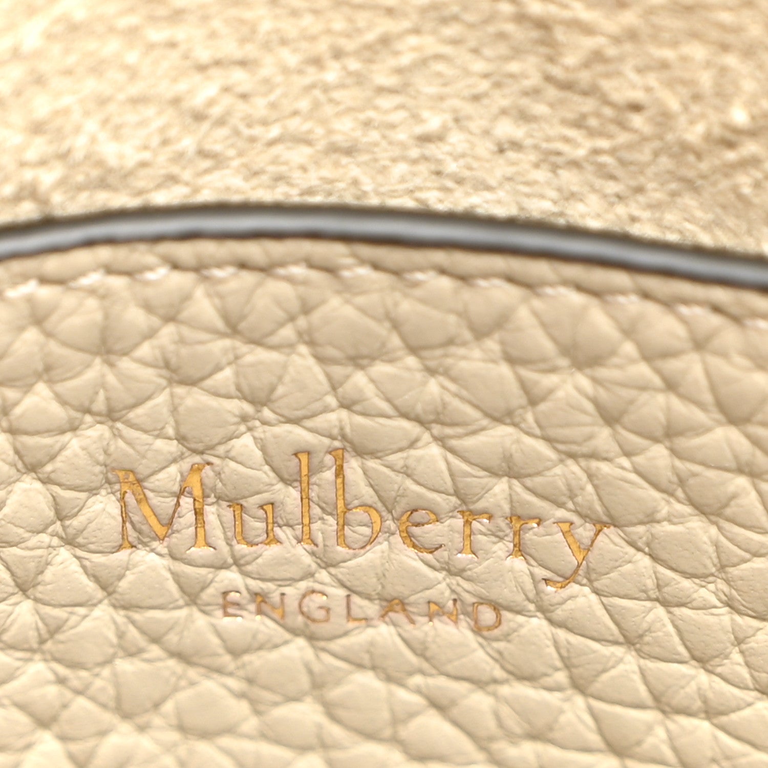 Mulberry Heavy Grain Mini Alexa Chalk 6 of 10