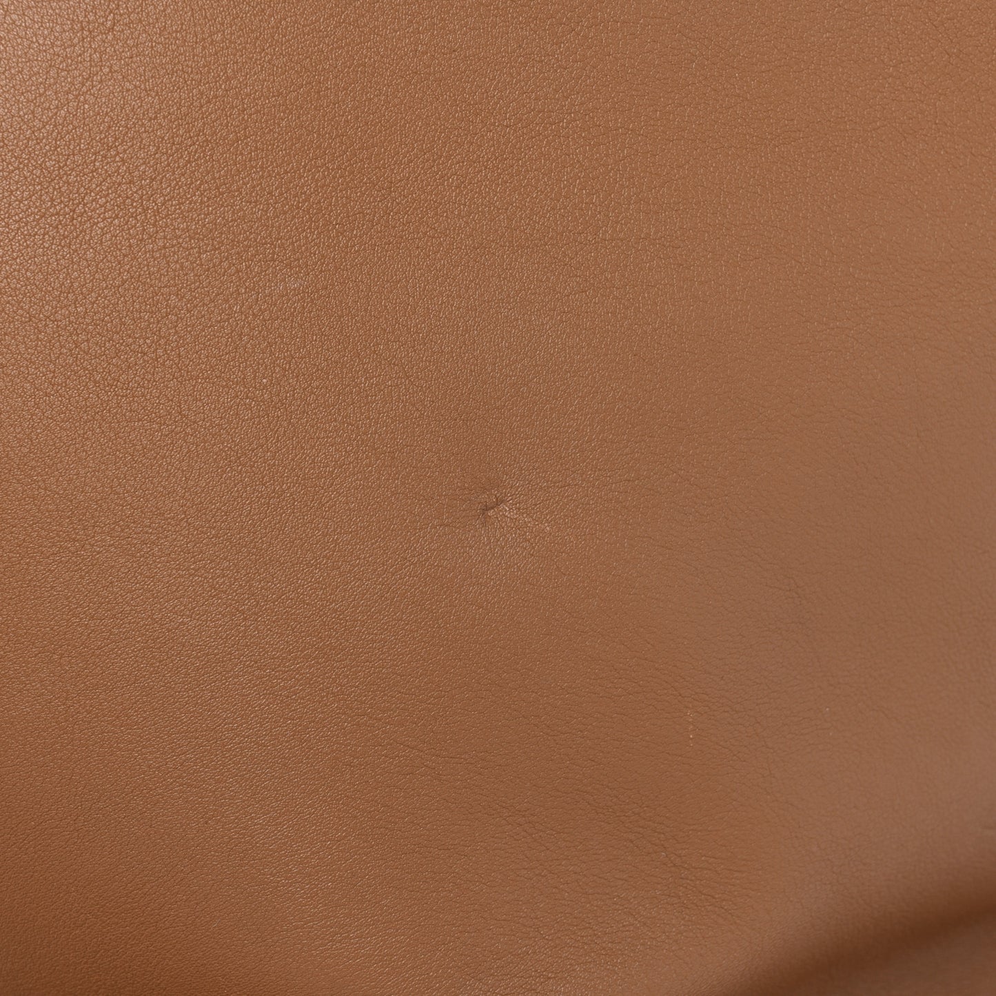 Veau Soie Calfskin Parnassea Bagatelle Hobo Hazelnut