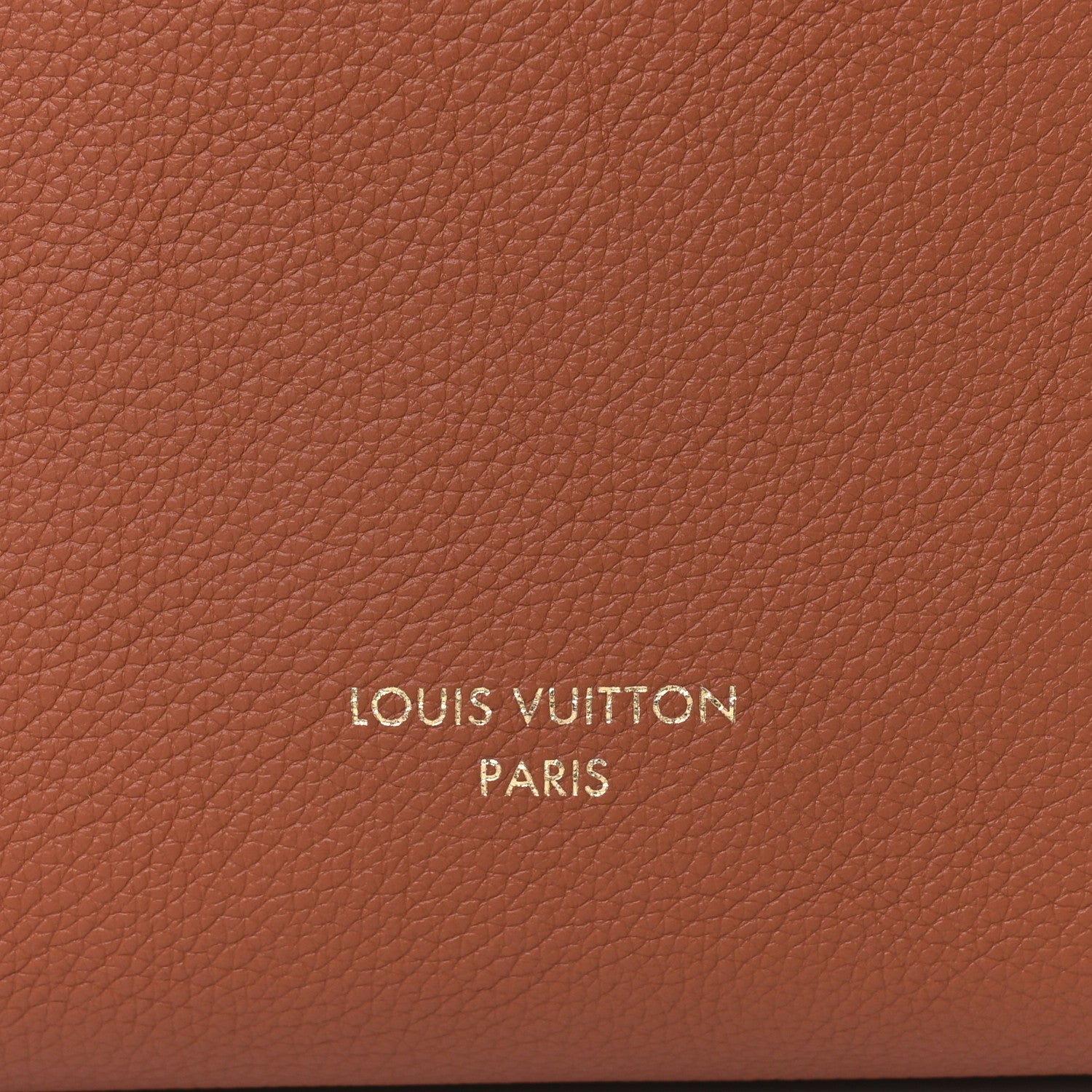 Louis Vuitton Grained Calfskin Low Key Hobo PM Cognac 10 of 12
