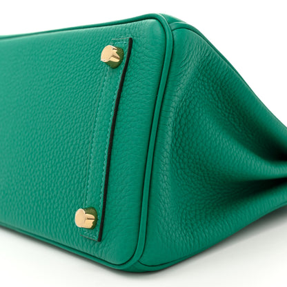 Hermes Togo Birkin 25 Vert Vertigo 10 of 11