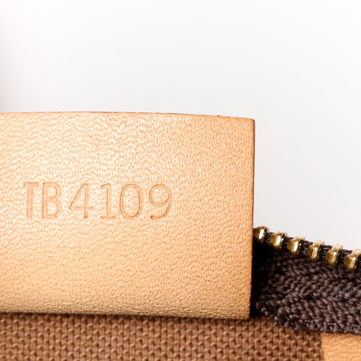 Monogram Nano Speedy