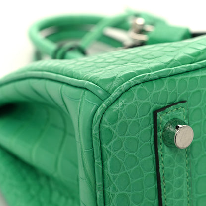 Hermes Matte Alligator Birkin 25 Vert Comics 9 of 13