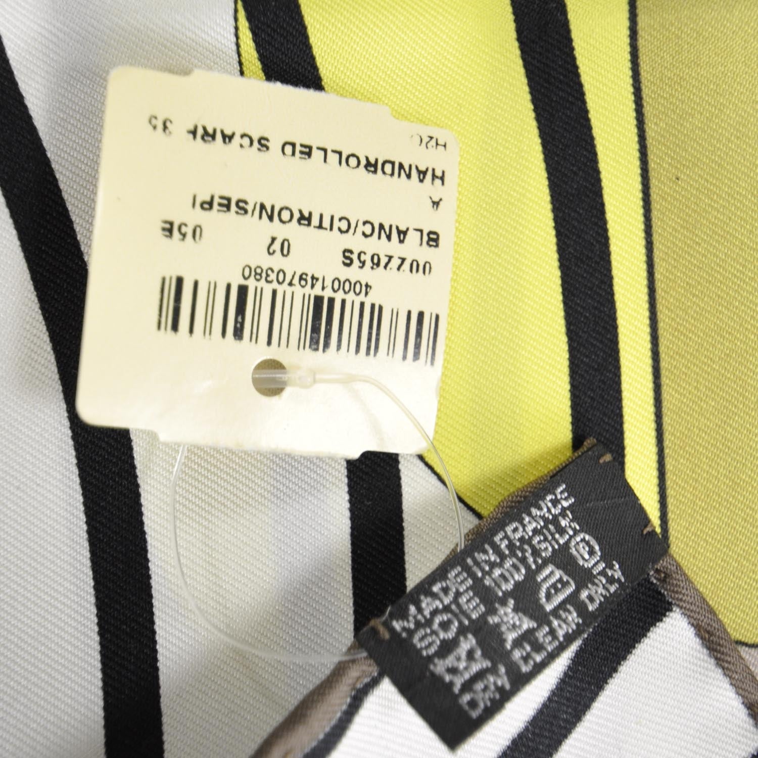 Hermes Silk H2O Scarf 90 4 of 5