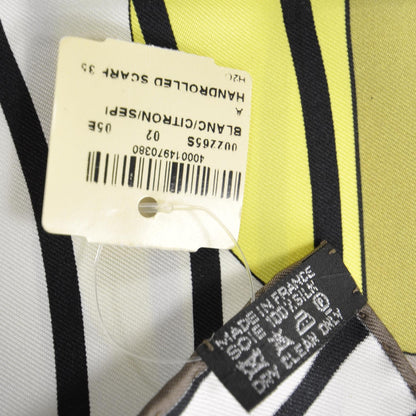 Hermes Silk H2O Scarf 90 4 of 5