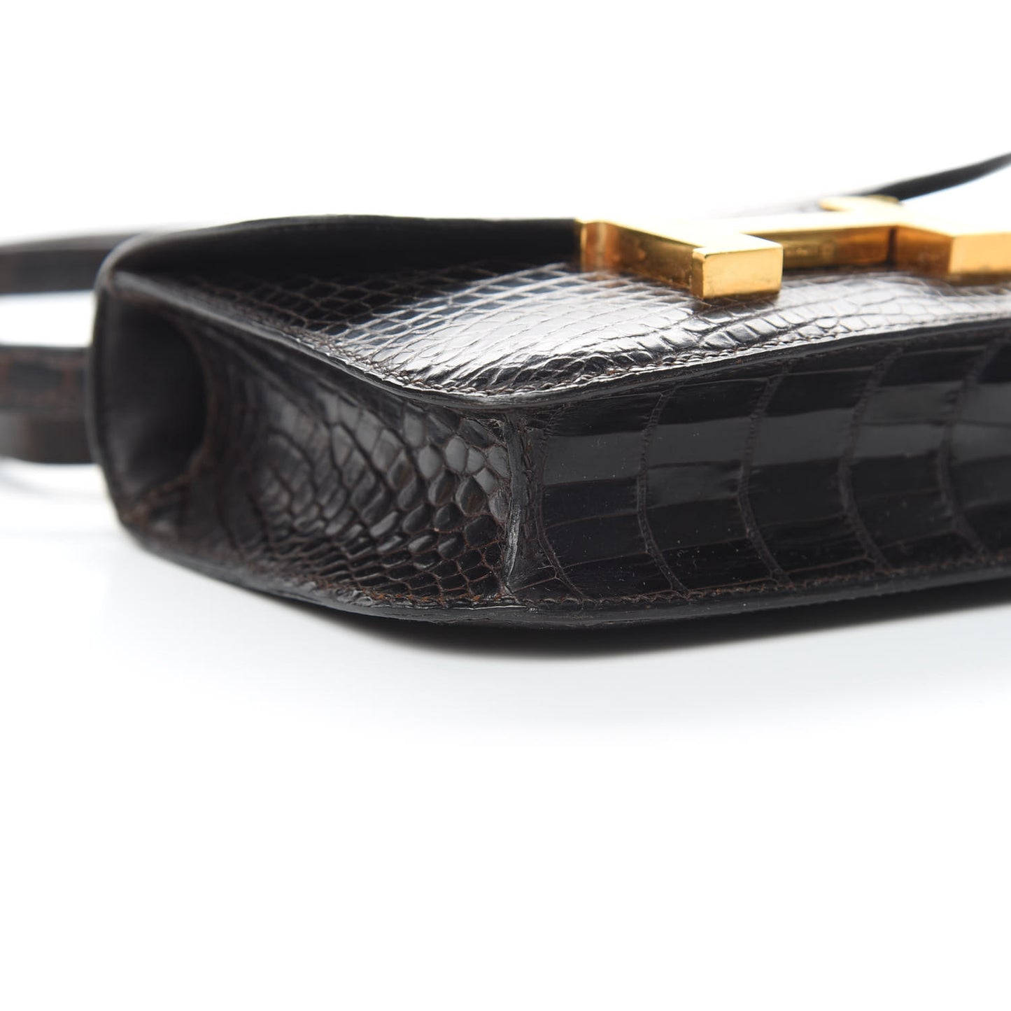 Shiny Alligator Micro Constance 14 Ebene