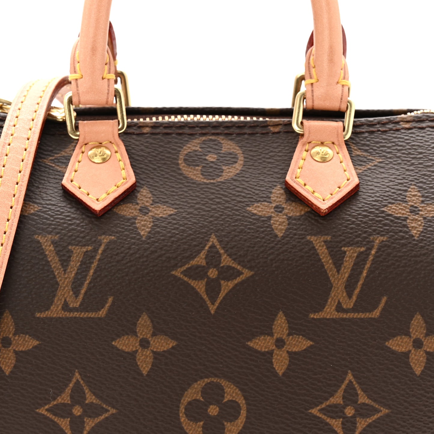 Monogram Nano Speedy