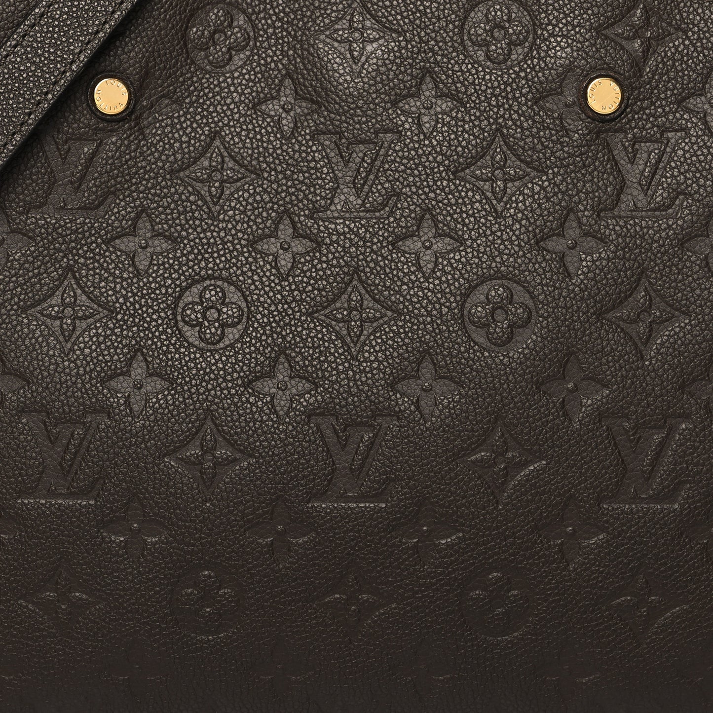 Empreinte Montaigne MM Terre