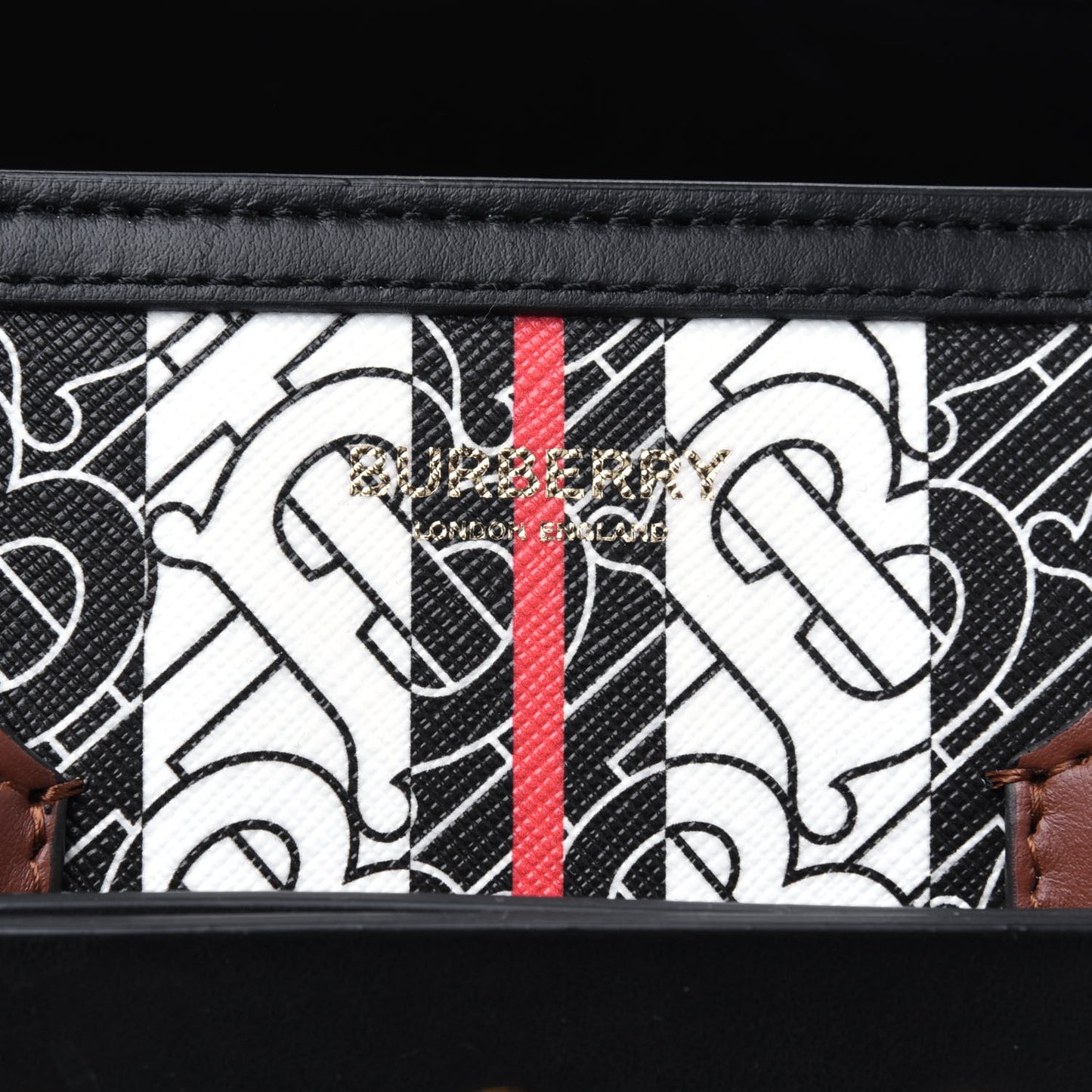 E-Canvas Monogram Stripe Small Belt Tote