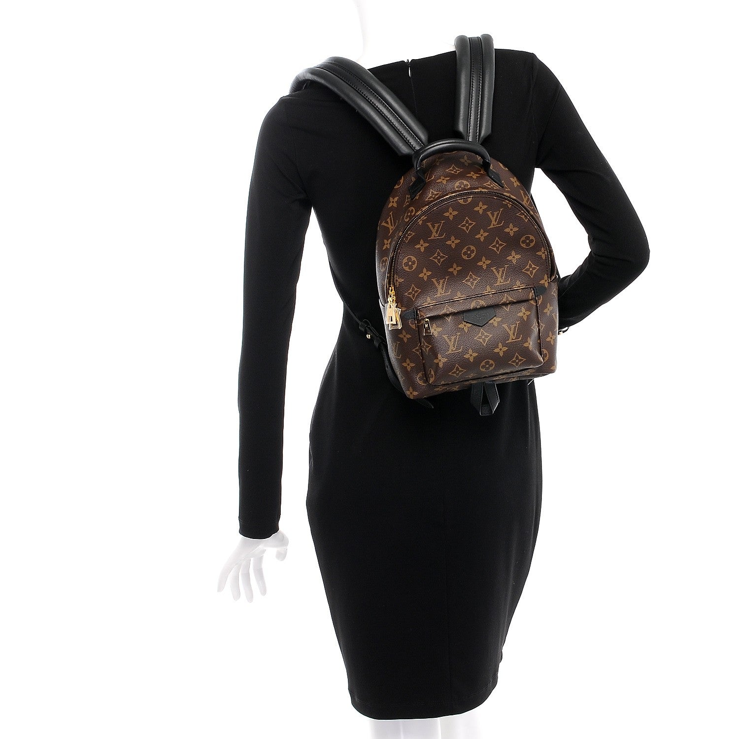 Louis Vuitton Monogram Palm Springs Backpack PM 2 of 6
