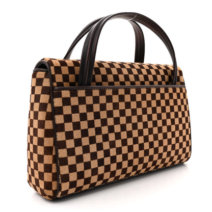 Louis Vuitton Damier Calf Hair Sauvage Lionne 3 of 11