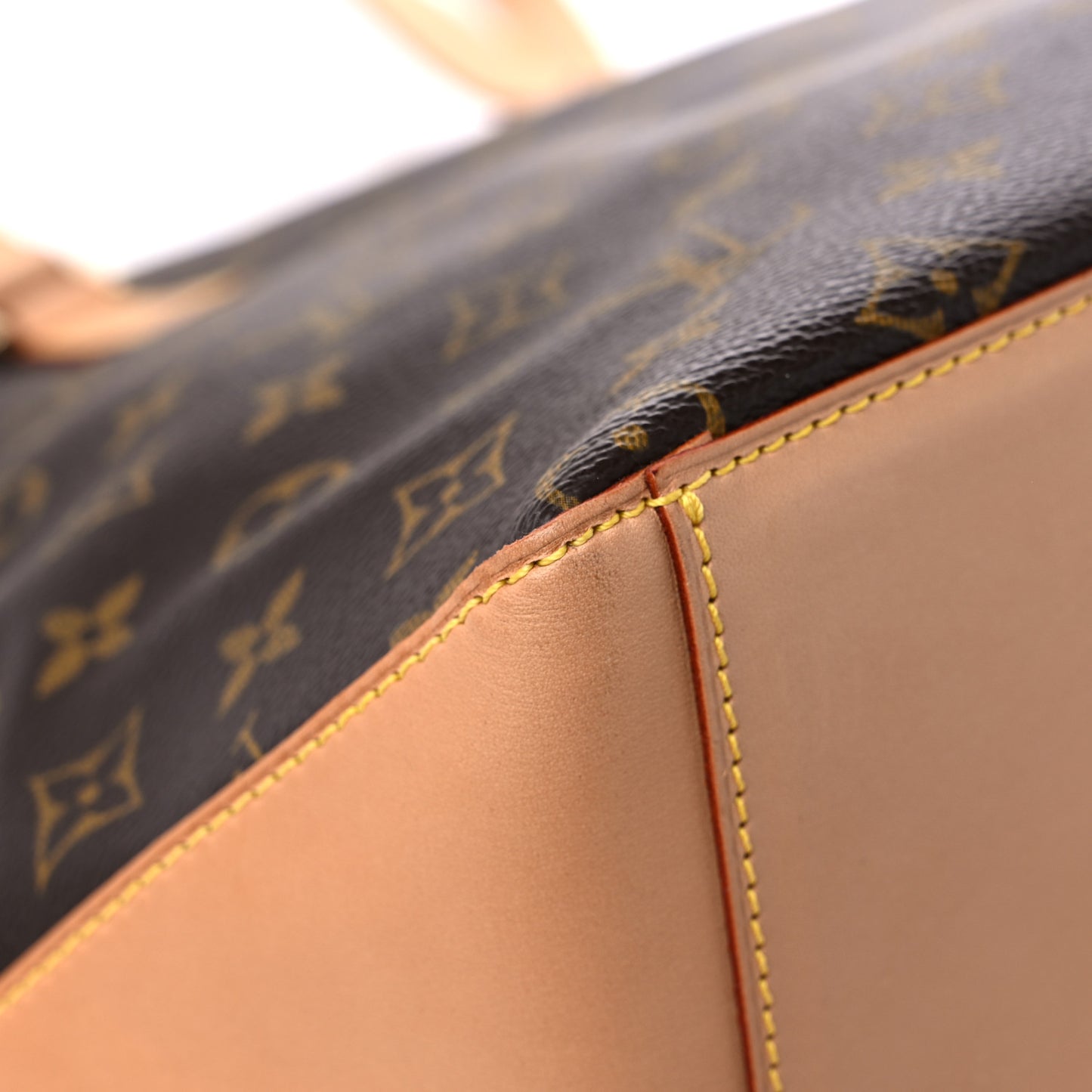 Monogram Cabas Mezzo
