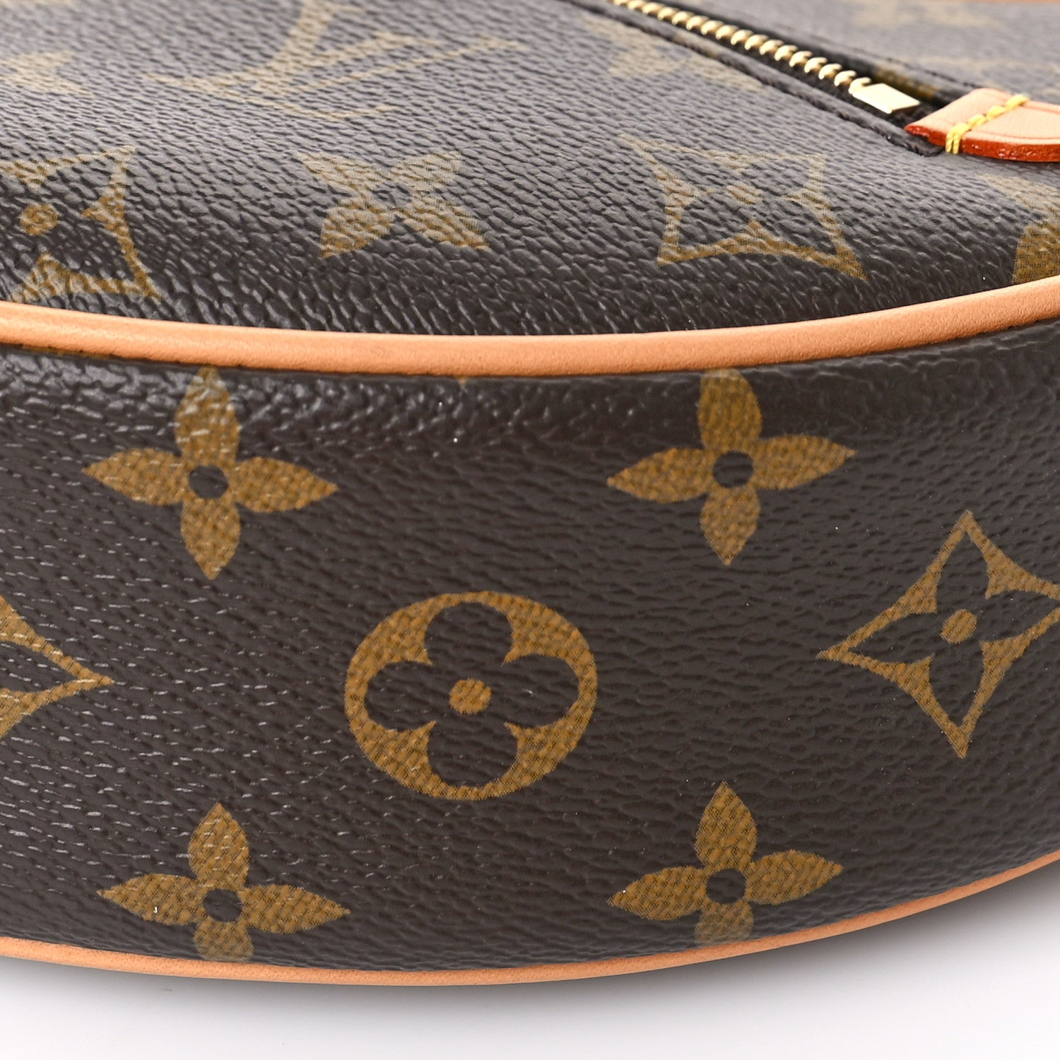 Louis Vuitton Monogram Loop 8 of 8