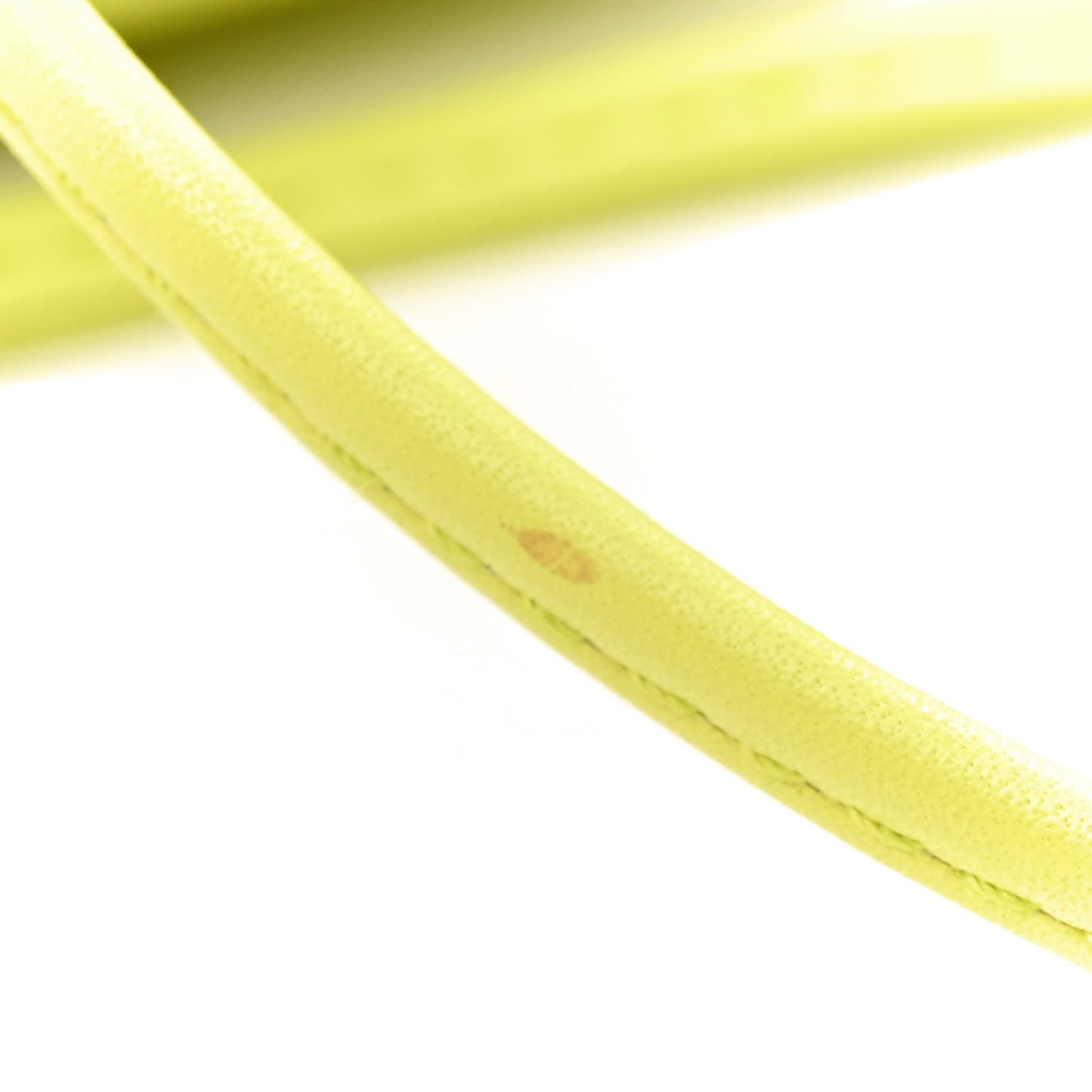 Butter Calfskin The Mini Pouch Sherbert