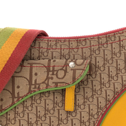 Christian Dior Monogram Rasta Double Saddle Beige 8 of 14