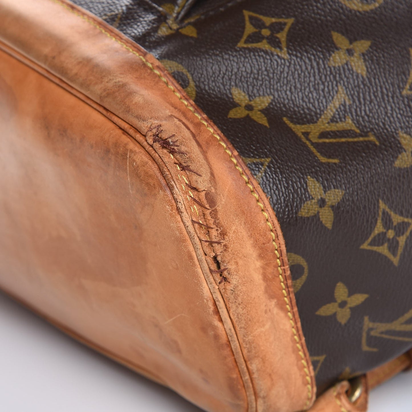 Monogram Montsouris GM Backpack