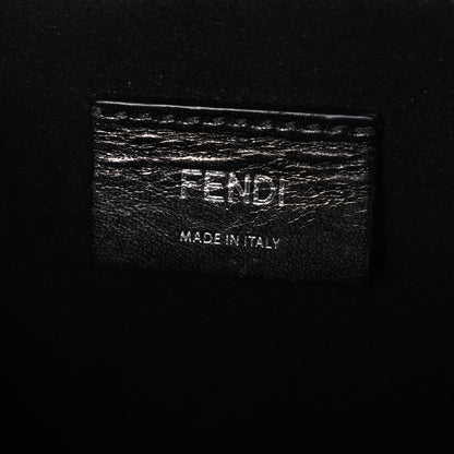 Fendi X SARAH COLEMAN Vitello Grace Light FF Vertigo Box Bag White Ice Multicolor 6 of 10