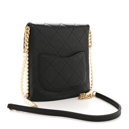 Chanel Calfskin Quilted Pearl Small About Pearls Hobo Bag Black 3 of 10
