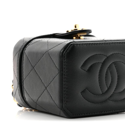 Chanel Lambskin Quilted Vanity Clutch With Chain Black 9 of 11