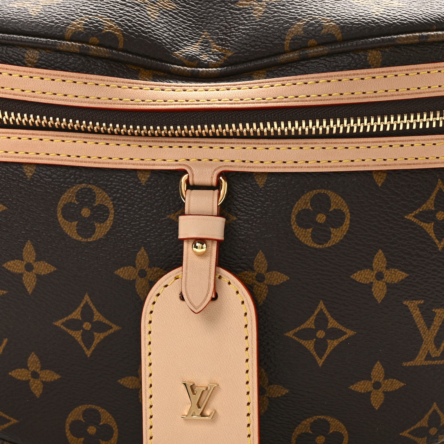 Louis Vuitton Monogram High Rise Bumbag 7 of 10