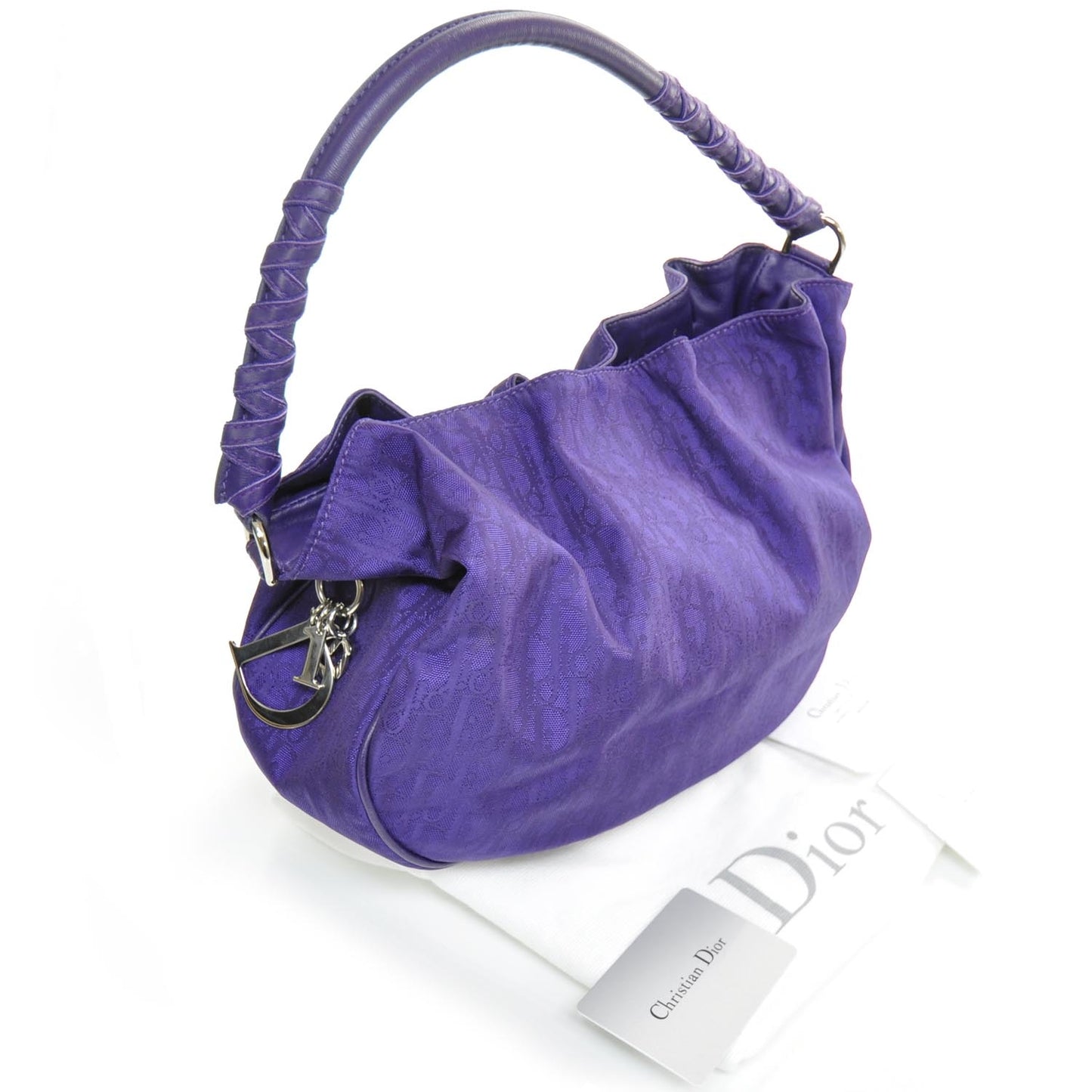 Nylon Monogram Lovely Medium Hobo Purple