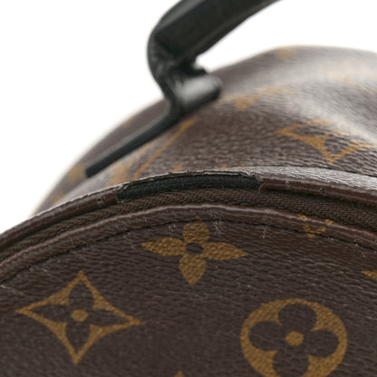Louis Vuitton Monogram Palm Springs Backpack Mini 12 of 16