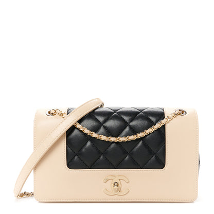 Chanel Sheepskin Quilted Medium Vintage Mademoiselle Flap Beige Black 1 of 12