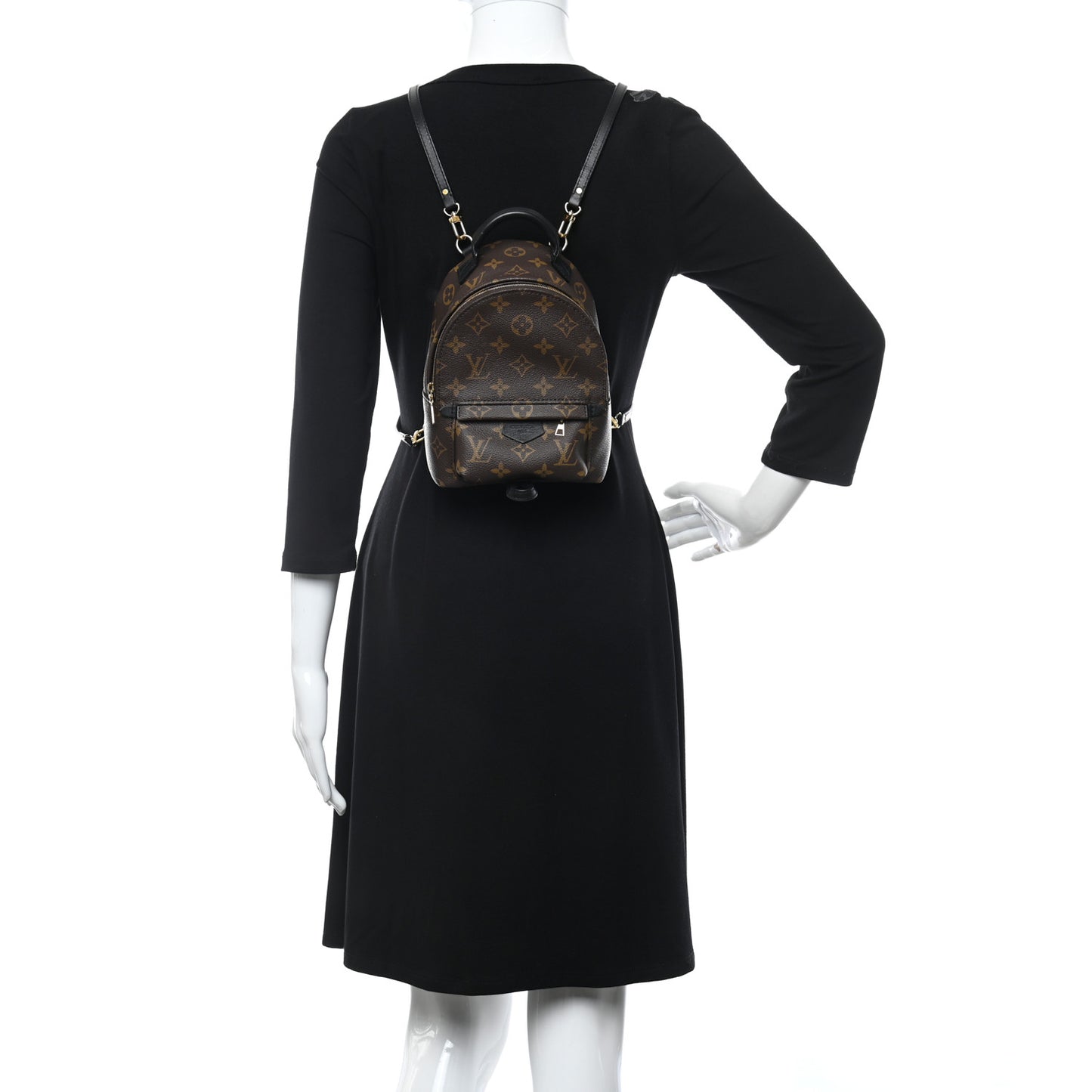 Monogram Palm Springs Backpack Mini