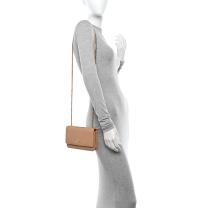 Chanel Snakeskin Wallet On Chain WOC Beige 2 of 11