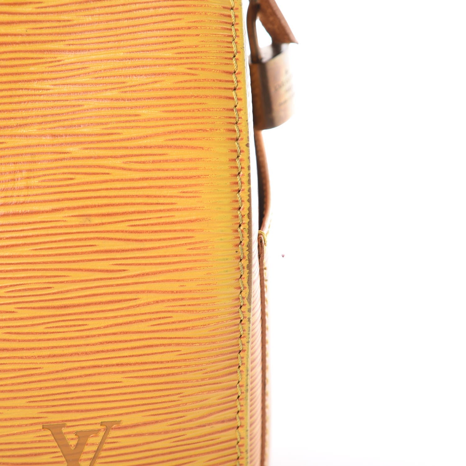 Louis Vuitton Epi Speedy 25 Tassil 19 of 30
