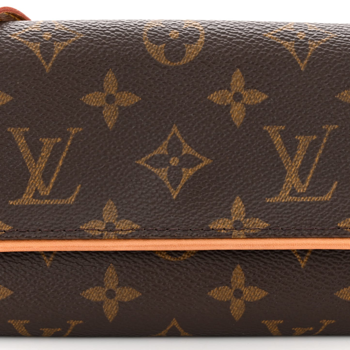 Monogram Pochette Twin PM
