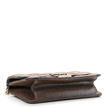Christian Dior Metallic Calfskin Cannage Miss Dior Promenade Pouch Brown 3 of 11