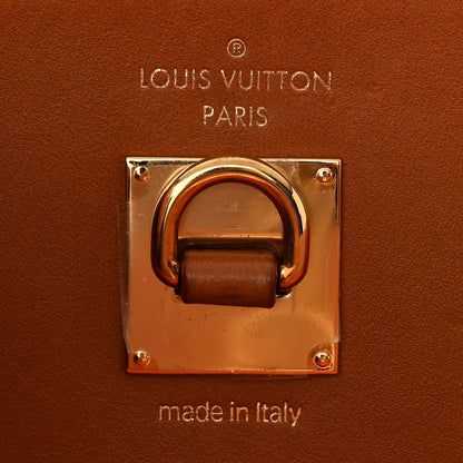 Louis Vuitton Calfskin Catogram City Steamer MM Chataigne 6 of 9