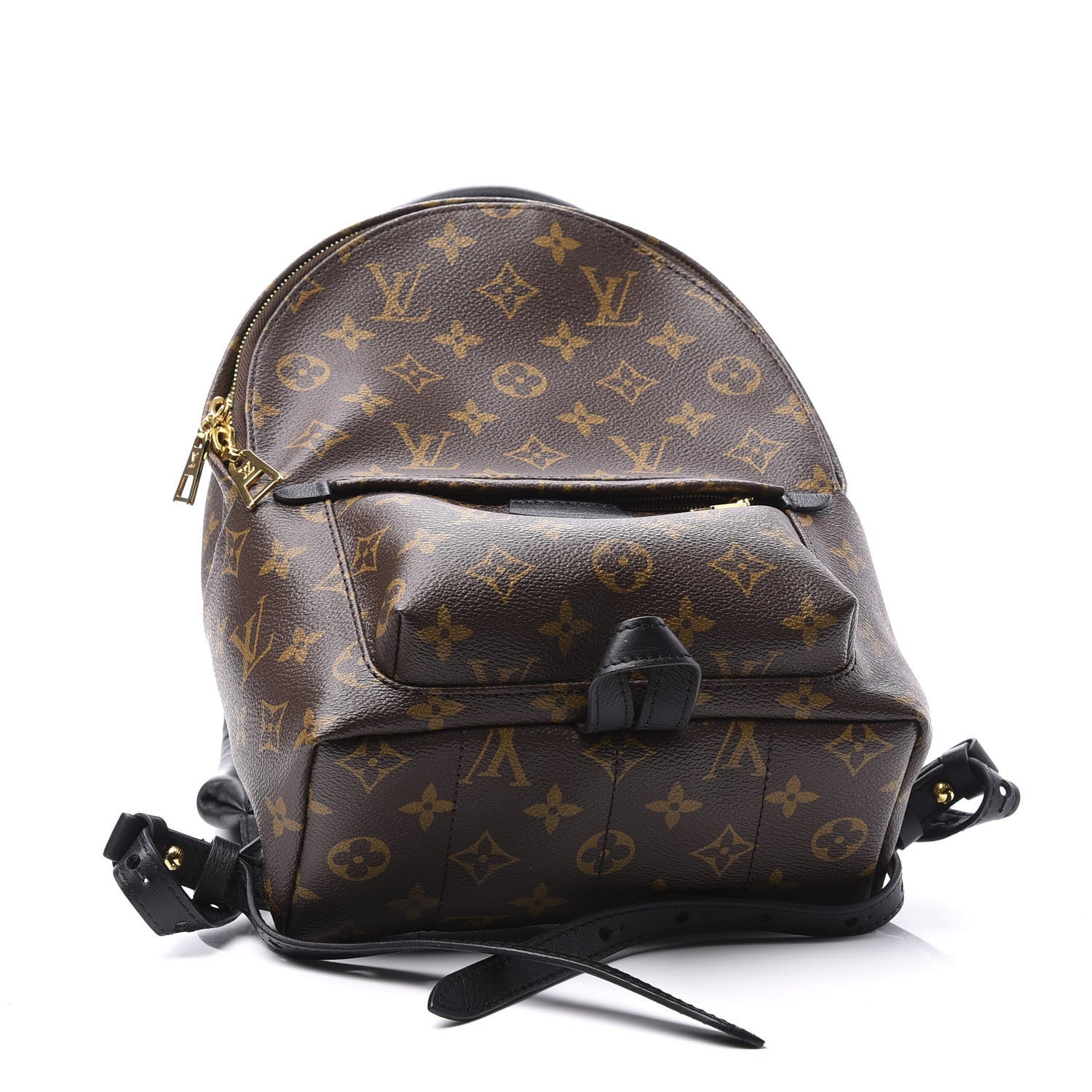 Louis Vuitton Monogram Palm Springs Backpack PM 3 of 11
