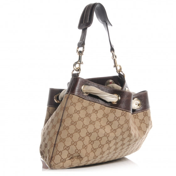 Monogram Positano Hobo Brown