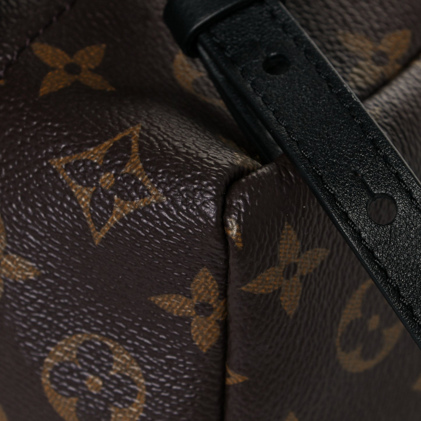 Monogram Palm Springs Backpack PM
