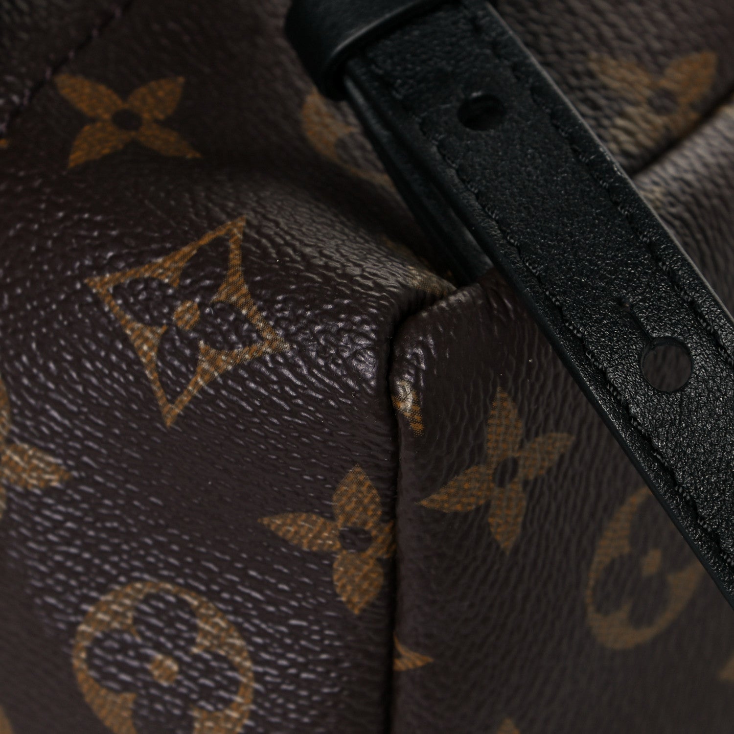 Louis Vuitton Monogram Palm Springs Backpack PM 11 of 12