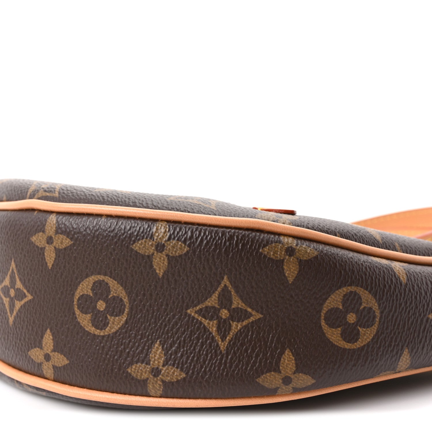 Louis Vuitton Monogram Loop 8 of 8