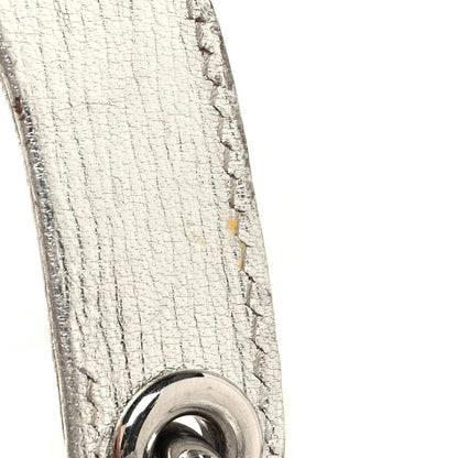 Christian Dior Metallic Grained Calfskin Cannage Small Lucky Badges My Lady Dior Silver 18 of 18