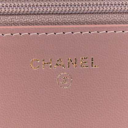 Chanel Lizard Reissue Wallet on Chain WOC Pink 6 of 11