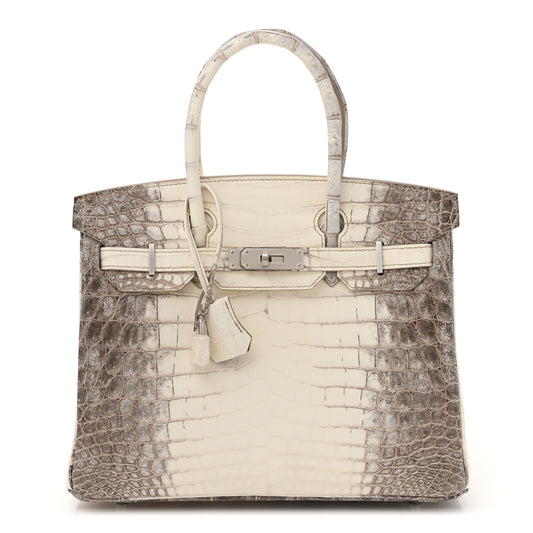 Matte Niloticus Crocodile Himalaya Birkin 30 Blanc