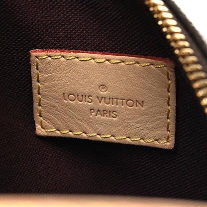 Louis Vuitton Monogram Berri MM 7 of 11