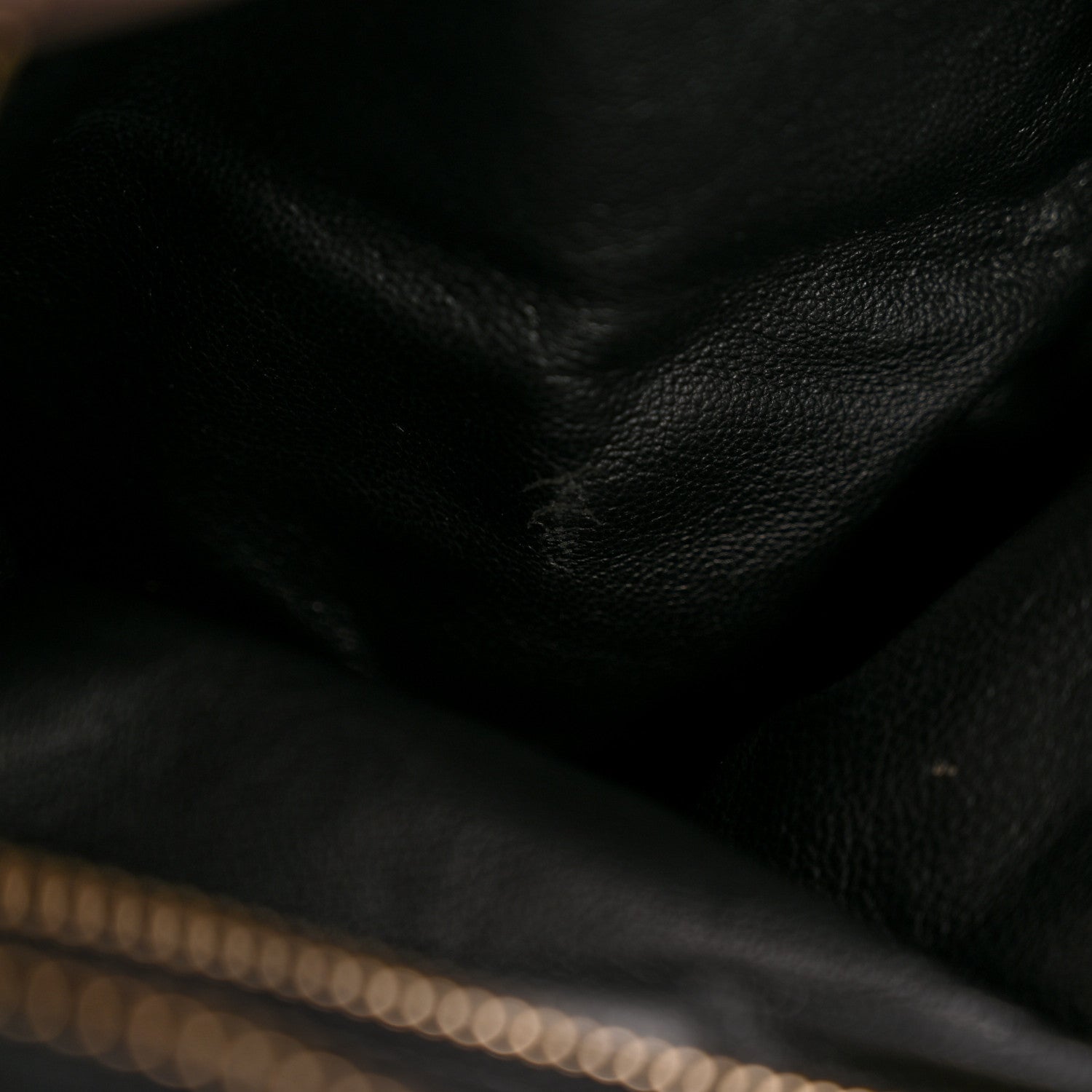 Celine Snakeskin Large Luggage Black 12 of 15