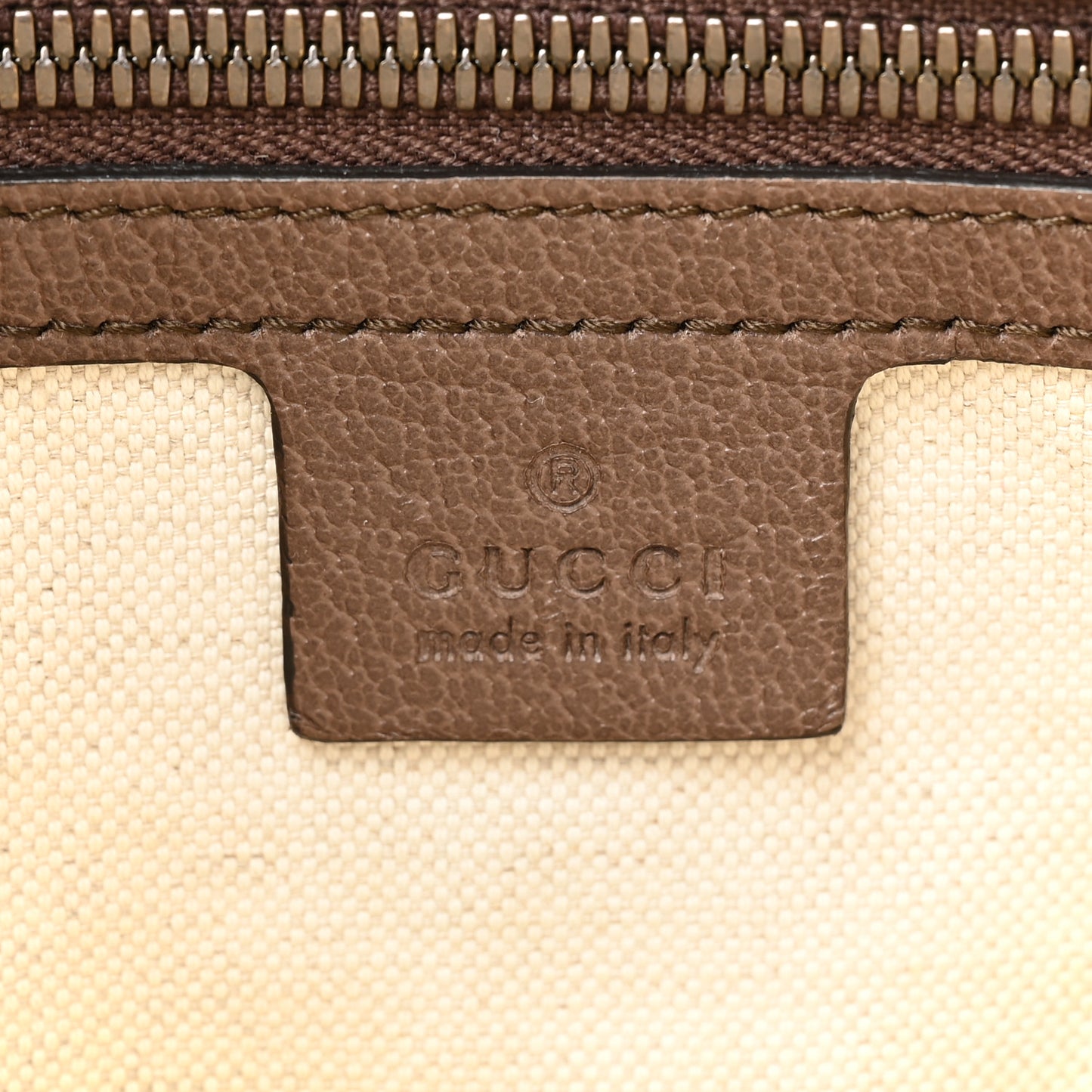 GG Supreme Monogram Web Small Ophidia Half Moon Hobo Brown