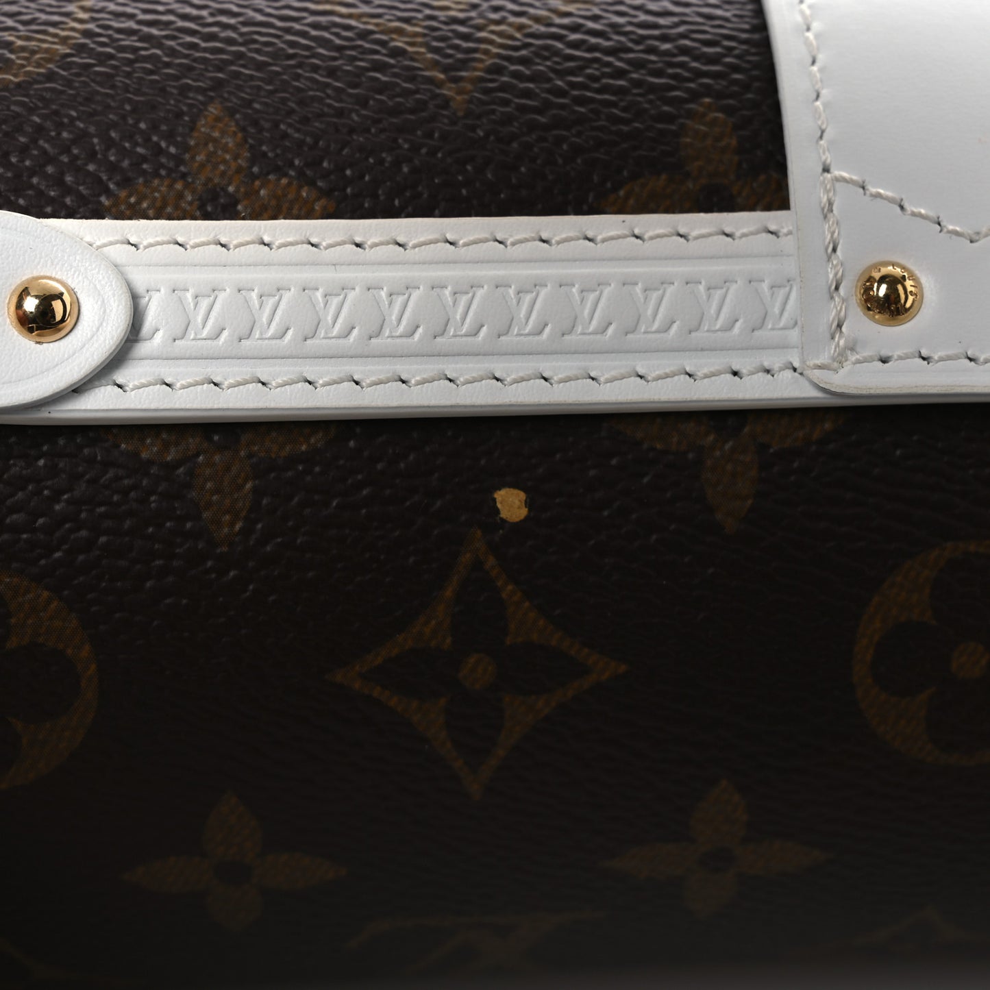 Monogram LV Match Papillon Trunk White